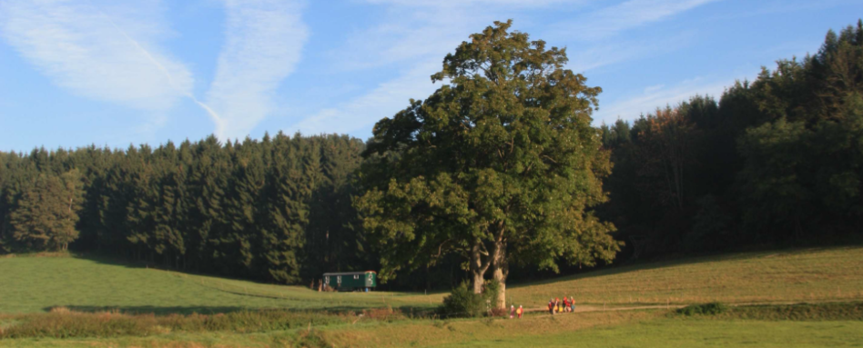 Willkommen im Waldkindergarten Ilmmünster
