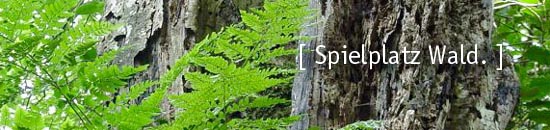 Spielplatz Wald