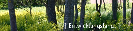 Entwicklungsland
